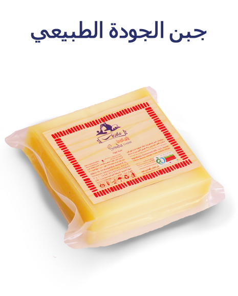 پنیر گودای طبیعی 2